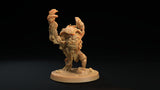Tiki / Monster/ Tiki mask / Pathfinder / DnD / The Dragon Trappers / 3D Print / 4K Mini / TableTop Miniature / RPG