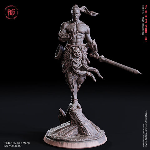 Todor / Monk / Human / Fighter / Martial Arts / Swordsman / Pathfinder / DnD / Flesh of God / 3D Print / 4K Mini / TableTop Miniature/ 25mm