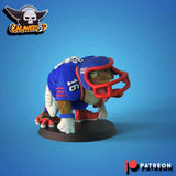 Frog Football league Fantasy Football Team