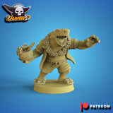 Summer Sharks Fantasy Football Team