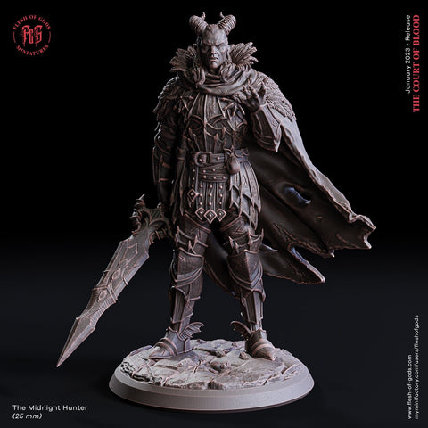 Midnight / Human / Hunter / Huntress / Male / Female / Helsing / Hero / Pathfinder / DnD / Flesh of God / 3D Print / 4K Mini /TableTop /25mm