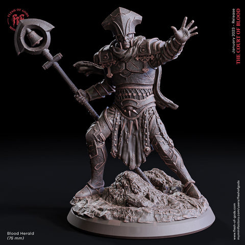 Blood Herald / 75mm / Wizard / Mage / Sorcerer / Warlock / Shadow / Pathfinder / DnD / Flesh of God / 3D Print / 4K Mini /TableTop Miniature