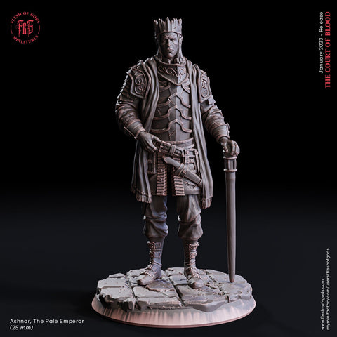 Ashnar / Vampire / King /  Dracula / Blood / Cult / Pathfinder / DnD / Flesh of God / 3D Print / 4K Mini / TableTop Miniature/ 25mm