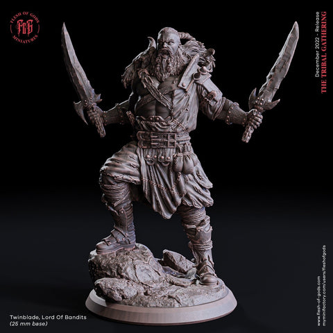Twinblade / Bandit / Bandit Leader / Barbarian / Warrior / Pathfinder / DnD / Flesh of God / 3D Print / 4K Mini / TableTop Miniature/ 25mm