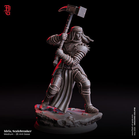 Idris Scalebreaker / Cleric / Fighter / Human / Warrior / Knight /  Pathfinder / DnD / Flesh of God / 3D Print / TableTop Miniature / 25mm