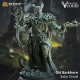 Old Barkhorn / Fey / Satyr / Fighter / Fairy / Elf / Druid / Magic / Fae / Tiefling / DnD / DM Stash / 3D Print / TableTop / 32mm / 75mm