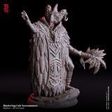 Blackwing Cult Necromancer / Necro / Sorcerer / Undead / Pathfinder / DnD / Flesh of God / 3D Print / 4K Mini /TableTop Miniature / 25mm