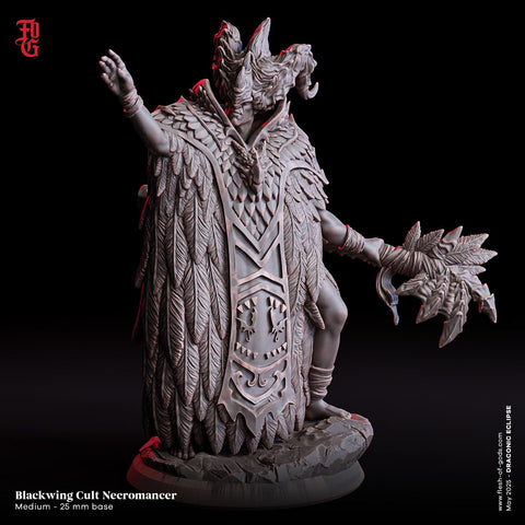 Blackwing Cult Necromancer / Necro / Sorcerer / Undead / Pathfinder / DnD / Flesh of God / 3D Print / 4K Mini /TableTop Miniature / 25mm