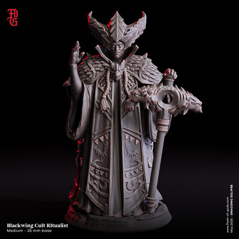 Blackwing Cult Ritualist / Cult / Sorcerer / Dragon / Pathfinder / DnD / Flesh of God / 3D Print / 4K Mini /TableTop Miniature / 25mm