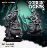 Goblin Riders / Mounted / Goblins / Cavalry / Frog Riders / Swamp  / Army / Fantasy / Table Top / Highland / 3D Print / 4K Mini / Wargaming