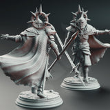 Roland the Dutiful - Duke’s Bodyguard / Fighter / Warrior / Knight / Spear / Souls / DnD / DM Stash / 3D Print / TableTop / 32mm / 75mm