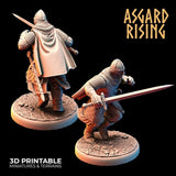 Medieval Knights / Knight / Warrior / Pathfinder / DnD / D&D / Asgard Rising / 3D Print / 4K Mini / TableTop Miniature / RPG
