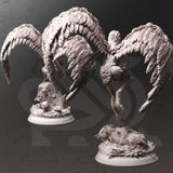 Hyl Hygrie / Hill Harpies/ Harpy / Troll / Mdonster / Magic / Pathfinder / DnD / DM Stash / 3D Print / 4K Mini / TableTop Miniature / 32mm