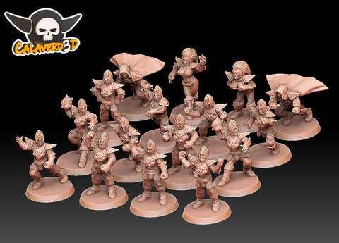 Dark Elves Fantasy Football Team / Elves / Elf Team / Fantasy Football Team / Tabletop / Miniatures / Boardgame