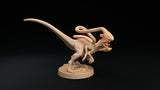 Displaceraptor / velociraptor / Monster / Dinosaur / Pathfinder / DnD / GM Stash / 3D Print / 4K Mini / TableTop Miniature