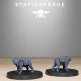 GrimGuard Skulldarts Trappers / Soldier / Gnome / Sniper / Imperial / Infantry / Sci Fi / Table Top / Station Forge / 3D Print / Wargaming