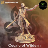 Cedric / Gunslinger / Fighter / Hero / DnD / GM Stash / 3D Print / 4K Mini / TableTop Miniature / 32mm / 75mm