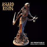 Zmora Harbinger of Death / Wraith / Monster / Pathfinder / DnD / D&D / Asgard Rising / 3D Print / 4K Mini / TableTop Miniature / RPG