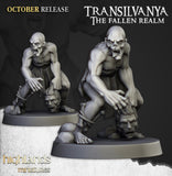 Ghoul Unit / Ghouls / Melee / Infantry / undead unit  / Army / Fantasy / Table Top / Highland / 3D Print / 4K Mini / Wargaming