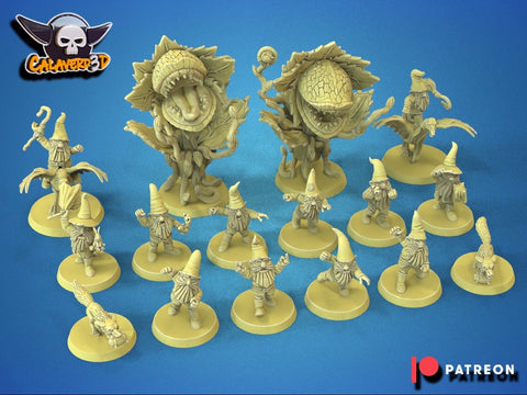 Garden Gnomes Football Team / Gnomes / Garden / Fantasy Football Team / Tabletop / Miniatures / Boardgame
