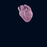 Arcane Heart / Props / Cosplay / Artefact / Lich / 3D Printed / 4K