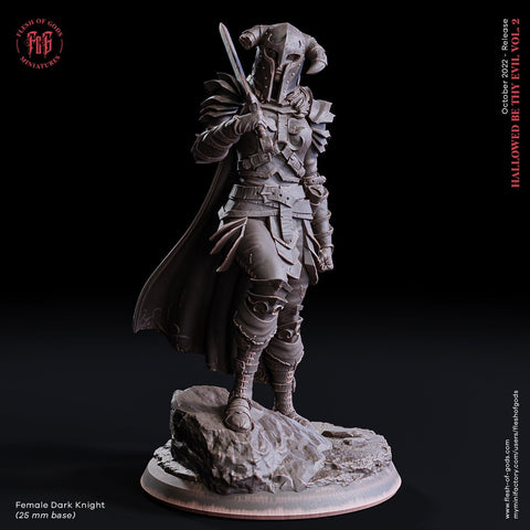 Female Dark Knight  / Human / Warrior / Fighter / Draconian / Pathfinder / DnD / Flesh of God / 3D Print / 4K Mini / TableTop Miniature/25mm