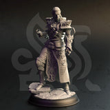 Netros of House Verani / Arcane Artificer / Elf / Spllcaster / Sorcerer / Pathfinder / DnD / DM Stash / 3D Print / TableTop / 32mm / 75mm