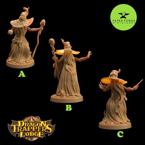 Hair Wizard / Horror / Monster / Witch / Halloween / Cousinit / Pathfinder / DnD / The Dragon Trappers / 3D Print /TableTop
