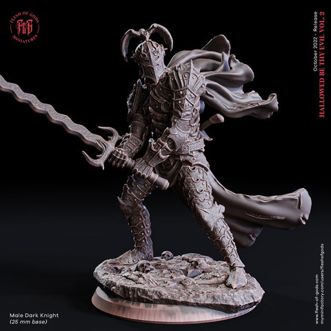 Dark Knight  / Human / Warrior / Fighter / Draconian / Pathfinder / DnD / Flesh of God / 3D Print / 4K Mini / TableTop Miniature / 25mm