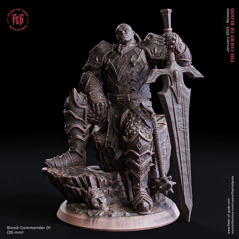 Blood Commander / Knight / Soldier / Paladin /  Blood / Cult / Pathfinder / DnD / Flesh of God / 3D Print / 4K Mini /TableTop Miniature/25mm