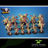 Dragon Force Fantasy Football Team