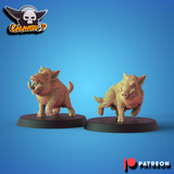 Irreducible Gaul Fantasy Football Team