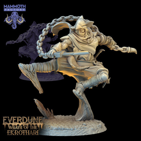 Ekrothari / Ninja / Rogue / Fighter / Pathfinder / DnD / DM Stash / 3D Print / 4K Mini / TableTop Miniature