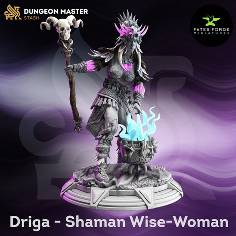 Driga / Druid / Warlock / Shaman / DnD / GM Stash / 3D Print / 4K Mini / TableTop Miniature / 32mm / 75mm