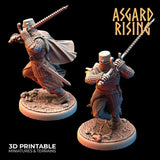 Medieval Knights / Knight / Warrior / Pathfinder / DnD / D&D / Asgard Rising / 3D Print / 4K Mini / TableTop Miniature / RPG
