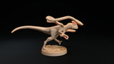 Displaceraptor / velociraptor / Monster / Dinosaur / Pathfinder / DnD / GM Stash / 3D Print / 4K Mini / TableTop Miniature