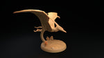Pterodactyls / Flying / Monster / Dinosaur / Pathfinder / DnD / The Dragon Trappers / 3D Print / 4K Mini / TableTop Miniature / RPG