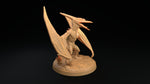 Pterodactyls / Flying / Monster / Dinosaur / Pathfinder / DnD / The Dragon Trappers / 3D Print / 4K Mini / TableTop Miniature / RPG