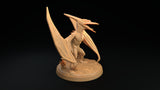 Pterodactyls / Flying / Monster / Dinosaur / Pathfinder / DnD / The Dragon Trappers / 3D Print / 4K Mini / TableTop Miniature / RPG