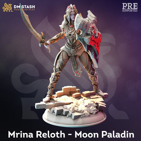 Mrina Reloth / Paladin / Fighter / Elf / Drow / Sword and Shield / Pathfinder / DnD / DM Stash / 3D Print / TableTop Miniature / 32mm / 75mm