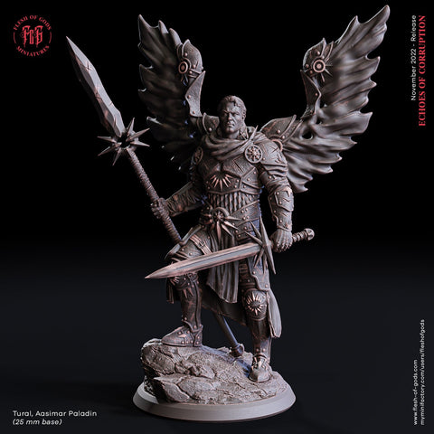 Tural Aasimar  / Aesir / Warrior / Fighter / Angel / Pathfinder / DnD / Flesh of God / 3D Print / 4K Mini / TableTop Miniature/25mm