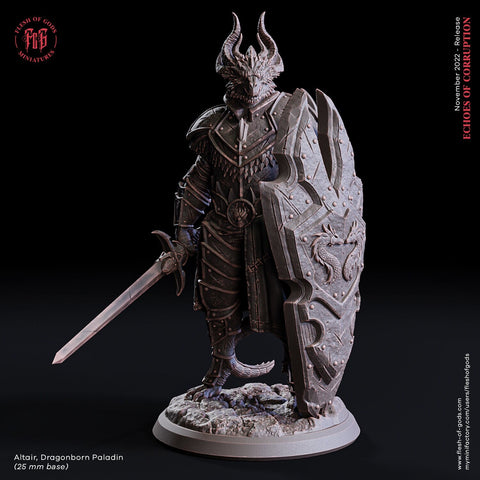 Altair / Paladin / Warrior / Fighter / Dragonborne / Pathfinder / DnD / Flesh of God / 3D Print / 4K Mini / TableTop Miniature/25mm