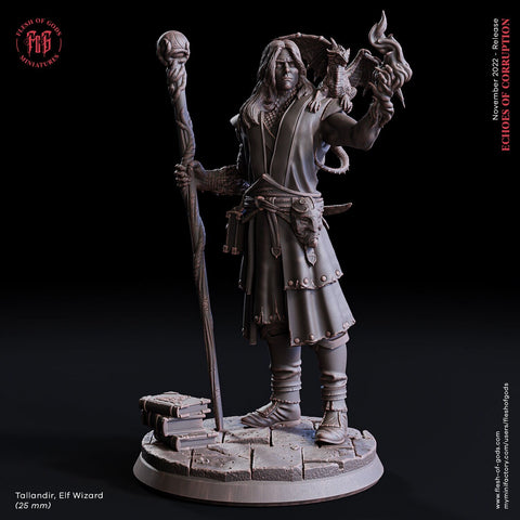 Talandir  / Wizard / Mage / Sorcerer / Conjurer / Elf / Pathfinder / DnD / Flesh of God / 3D Print / 4K Mini / TableTop Miniature