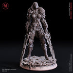 Midnight / Human / Hunter / Huntress / Male / Female / Helsing / Hero / Pathfinder / DnD / Flesh of God / 3D Print / 4K Mini /TableTop /25mm