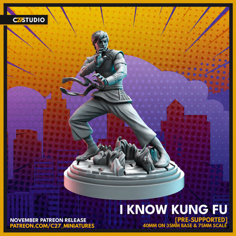 I Know Kung Fu / Chi / Crisis Protocol / Comic / Hero / DnD / C27 / 3D Print / 4K Mini / TableTop Miniature / Boardgame / 32mm / 75mm